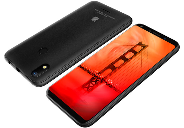 BLU Vivo X5 - description and parameters