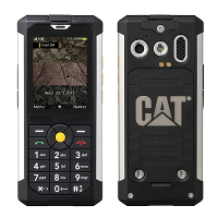 Cat B100 SGH-B100i - description and parameters