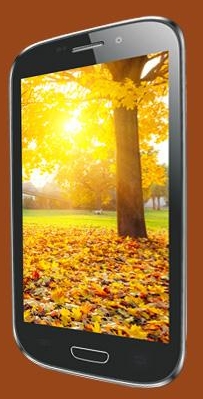 Celkon A220 - description and parameters