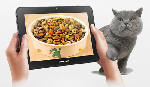 Lenovo LePad S2010 - description and parameters