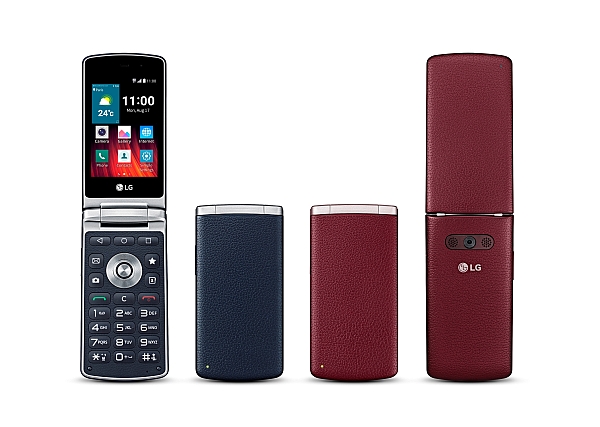 LG Wine Smart - description and parameters