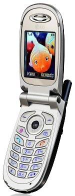 LG C2200 - description and parameters