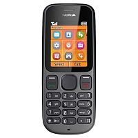 Nokia 100 - description and parameters
