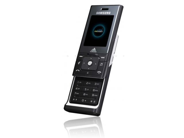 Samsung F110 - description and parameters