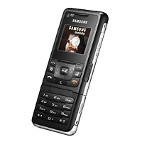 Samsung F510 - description and parameters