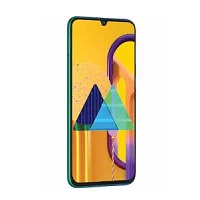 Samsung Galaxy M30s - description and parameters