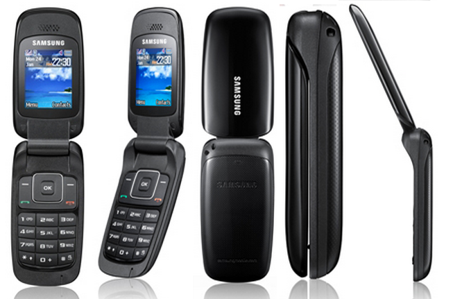 Samsung E1310 - description and parameters