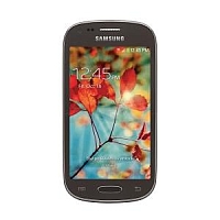 Samsung Galaxy Light SGH-T399N - description and parameters