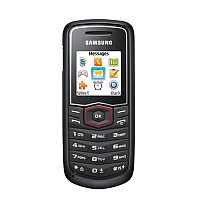 Samsung Guru E1081T - description and parameters