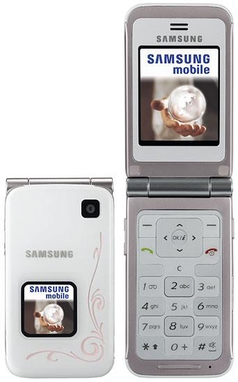 Samsung E420 - description and parameters