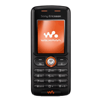 Sony Ericsson W200 W200 - description and parameters