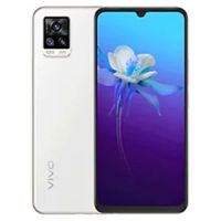 vivo V20 LG-H990T - description and parameters