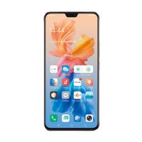 vivo S9e - description and parameters