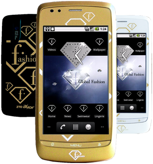 ZTE FTV Phone - description and parameters